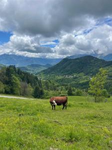 Chalets Chalet 1830 au pied du MONT CHARVIN : photos des chambres