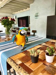B&B / Chambres d'hotes Bed & Breakfast L'Etape Basque : photos des chambres