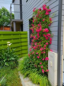 Appartements Le gite blinois : photos des chambres