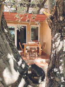 Appartements 4 personnes-clim-piscine-parking : photos des chambres