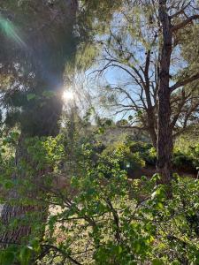 Appartements 4 personnes-clim-piscine-parking : Appartement 1 Chambre