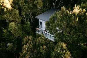 Treetop Tranquility at Rekindle Tree houses - Opua