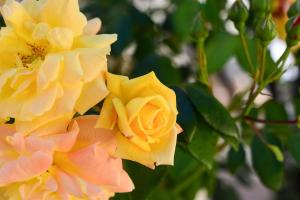 Lovely Family Villa in Modica