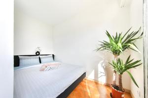 Appartements Studio moderne - 3 Frontieres - Aeroport de Bale - Parking : photos des chambres