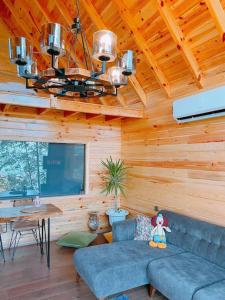 Ağaoğlu Dağ evleri 2