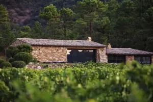 Bergerie dans les Vignes - La Môle