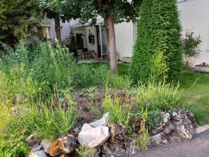 Appartements Charmant Appartement 2 pieces avec exterieur : photos des chambres