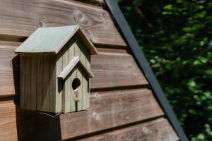 Appartements Gite Nichoir 2ad et 2 enf : photos des chambres