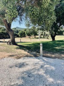 Uddastri Retreat img22