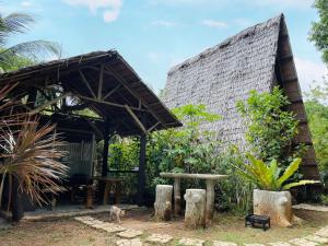 travis homestay