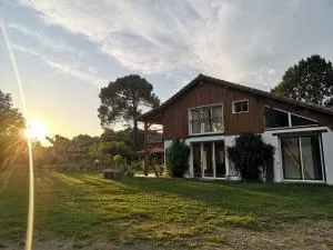 YonShala - 莫桑克斯