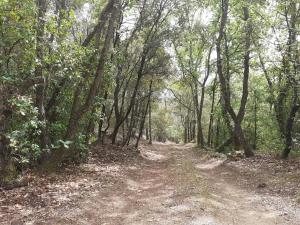 Bastidon provençal off-grid