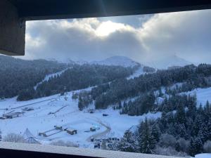 Appartements Laveissiere : photos des chambres