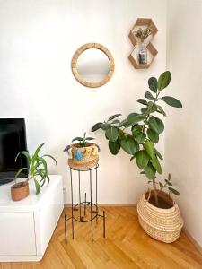 Bright and central suite with a balcony