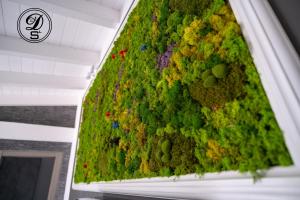 Domo San Leone Uta img62