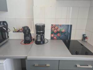 Appartements Chanoine Boursier : photos des chambres