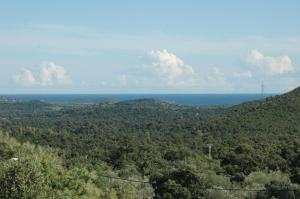 Maisons de vacances VILLA SENENITA : photos des chambres