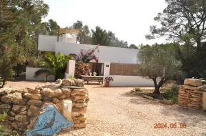 Feliz Lagartija - Cala Saona