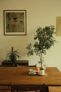 Spacious apartment in city center
