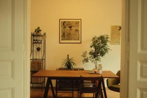 Spacious apartment in city center
