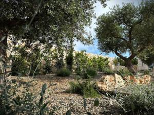 LocoHoliday - Don Vito