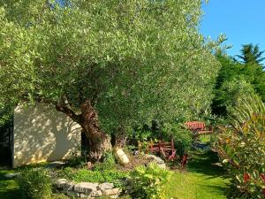 gite les figuiers proche puy du fou