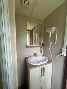 Appartements Mobil Home 3 chambres Ile du Rhin Camping Tohapi-Alsace : photos des chambres