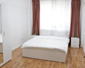 City Base I 2 BR apt Victoriei