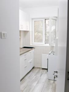 City Base I 2 BR apt Victoriei