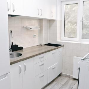 City Base I 2 BR apt Victoriei