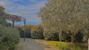 Appartements Gite la glycine avec piscine au mas de Saint Jean : photos des chambres