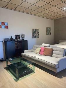 Exclusivo Loft en Zaragoza-5