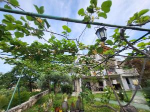 Apartman Villa Negra Kotori öböl