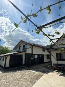 Casa Tudor - Dofteana