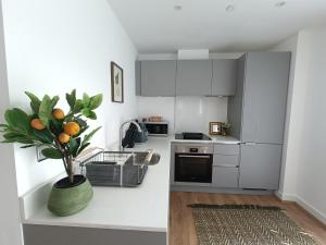 Snuggle Inn - Riverside Apartments - Views Over looking London River Thames, Close to O2 Arena, London Excel, London City Airport, Thames Clipper- River Boat Service, Woolwich Ferry, Onsite parking, TWIN ROOM OPTION available