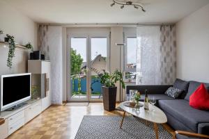 Superior One-Bedroom Apartment with Balcony room in Ferienwohnung Meienreis