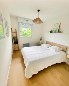 Appartements Appart avec balcon, parking, plein centre ville - MONT DE MARSAN : photos des chambres