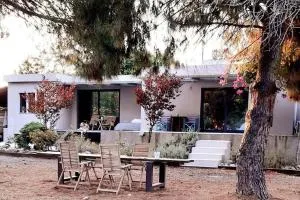 Coralia's beachfront sea view studio - Agioi Theodoroi