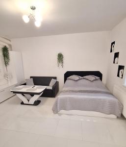 Apartament Domi