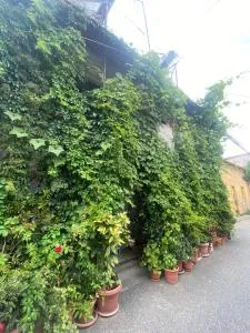 Cloud 9 Hostel - Grilë