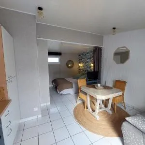 Maison Studio La Chaume de 20 m2 - LʼAubraie