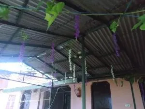 Neelkanth homestay - 考萨尼