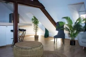 T3 plein de charme au cœur de Montbéliard - 蒙贝利亚尔