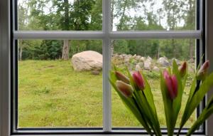 Nice Home In Munka Ljungby