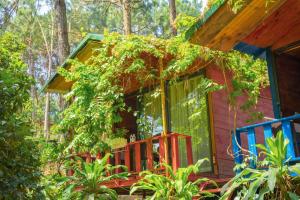 Pine Hill Villas & Camping