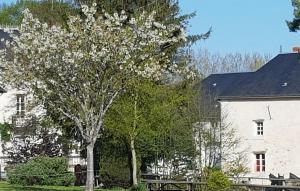 Maisons de vacances BIG House near Beauval and Castle - Privatisation Domaine du Moulin Neuf : photos des chambres