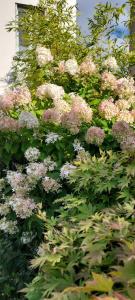 Chambre 2 Vue sur le jardin