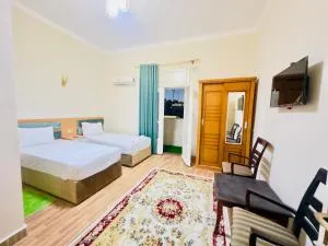 Zoser hostel - 坦塔