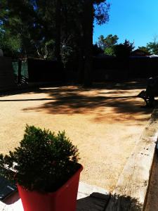 Campings Mobil home 6 pers - camping Les Arbouses - clim terrasse plancha : photos des chambres