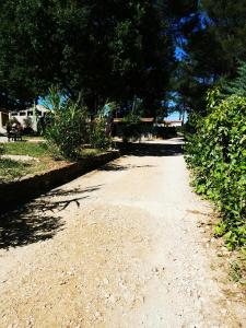 Campings Mobil home 6 pers - camping Les Arbouses - clim terrasse plancha : photos des chambres